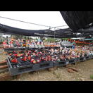 Die profanen Figuren treffen wohl nicht jedermanns Geschmack